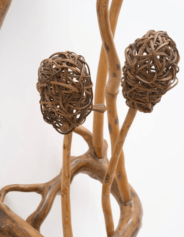 Formas orgânicas em cipó trançado sobre galhos